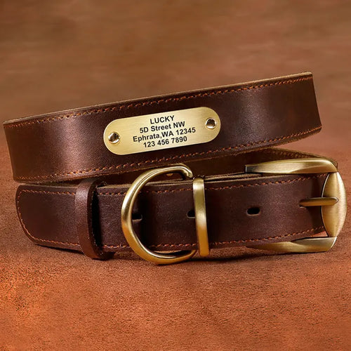 Engraved Genuine Leather Anti-Loss Dog Collar