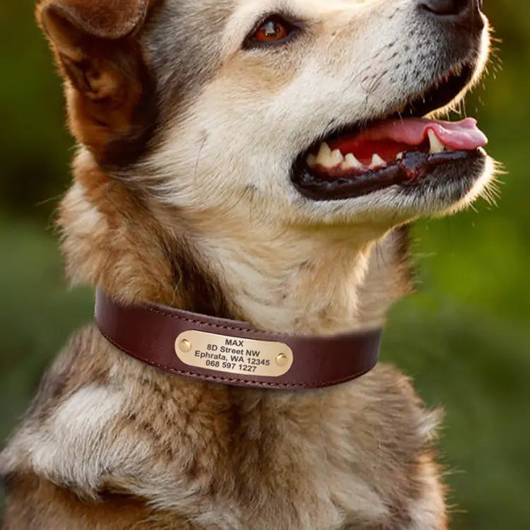 Engraved Genuine Leather Anti-Loss Dog Collar