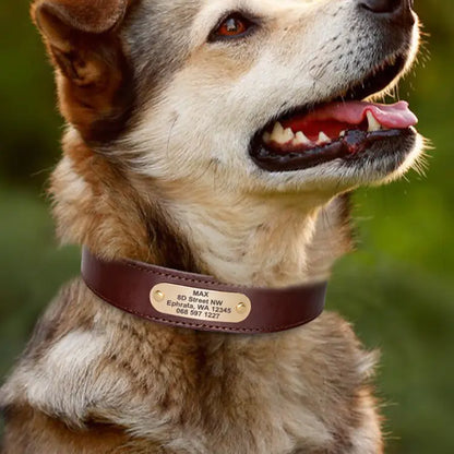 Engraved Genuine Leather Anti-Loss Dog Collar